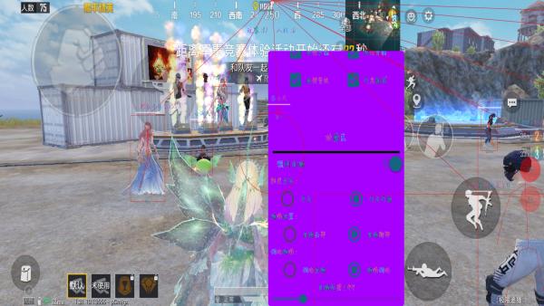 和平精英辅助【火焰鸟直装V6.0终极修复版】射线透视 准星聚点 空投透视 人物变大 显示手持 透视雷达